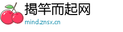 揭竿而起网